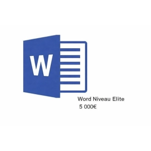 Word - Niveau Elite