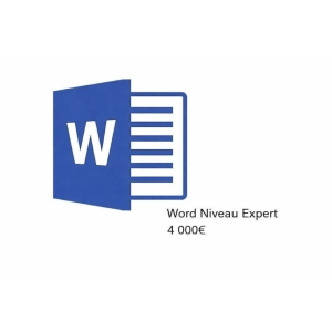 Word - Niveau Expert