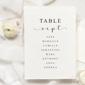 🍽️ Plan de table
