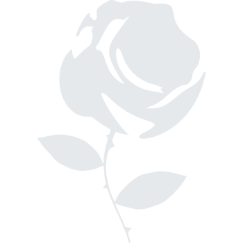 Rose Noire Edition